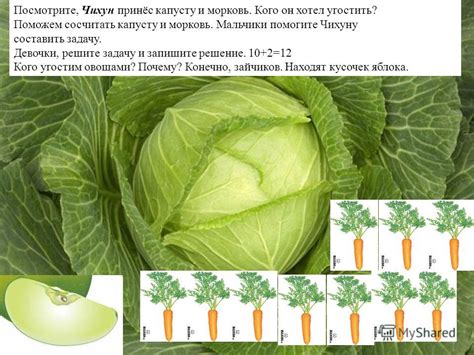 Почему морозить капусту - лучшее решение