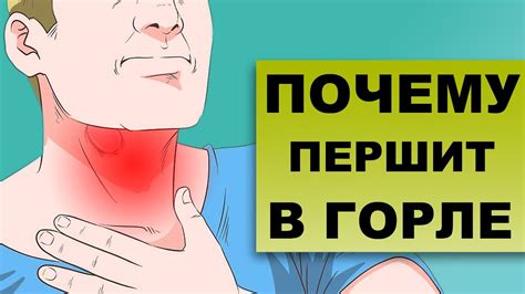 Почему першит горло