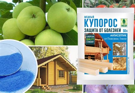 Правила сохранения и хранения медного купороса