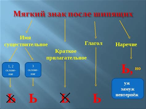 Правила употребления мягкого знака в глаголах
