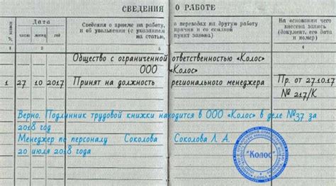 Правовой статус трудовой книжки: защита прав работника