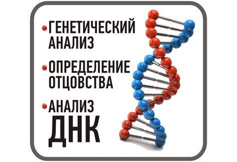Правовые аспекты определения отцовства посредством теста ДНК