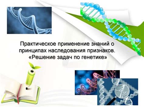 Практическое применение знаний о распаде белка и аминокислотах