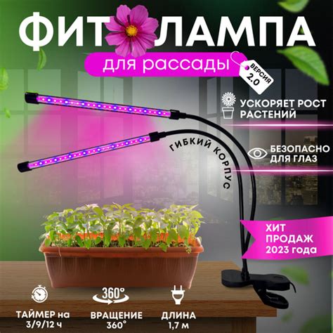 Преимущества использования фитолампы для растений в замкнутых помещениях