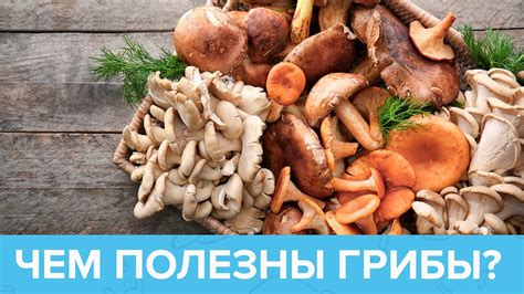 Преимущества прожаривания грибов