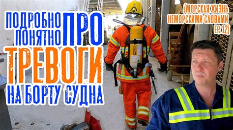 Приезд экипажа на двор