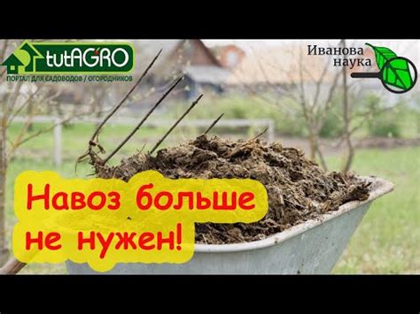 Применение спания на боку в коконе для улучшения почвы