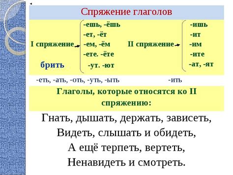 Примеры глаголов во множественном числе