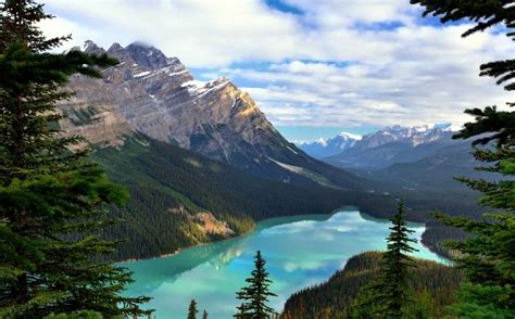 Природа как источник вдохновения и исцеления в рисунках
