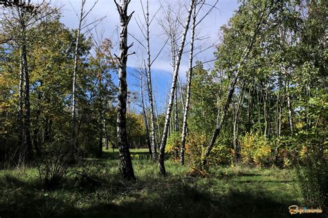 Природное шоу небесной синевы