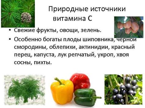 Природные источники шиповника