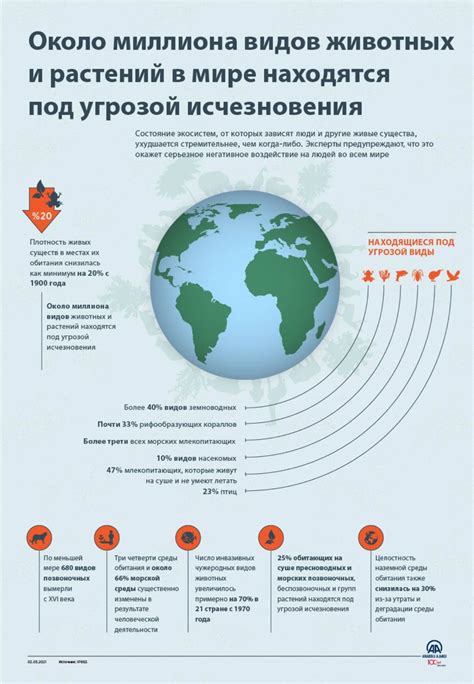 Причины исчезновения грозной активности