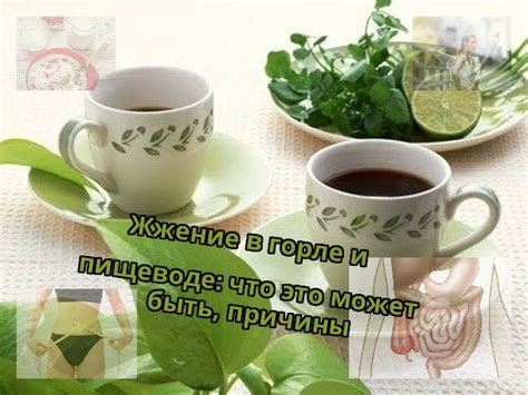 Причины ощущения жжения в горле и пищеводе
