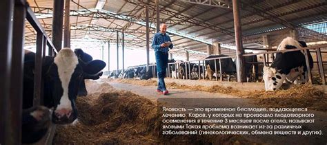 Причины снижения молочной продуктивности