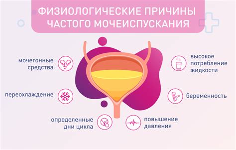 Причины учащенного мочеиспускания при овуляции