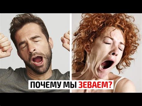 Проблема сонливости: когда зевают и хотят спать, но не могут