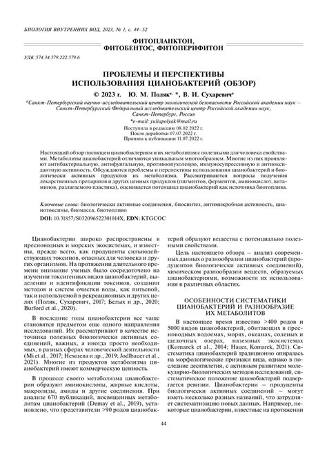 Проблемы и перспективы использования