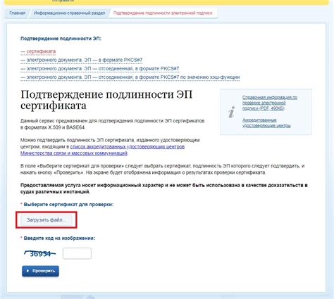 Проверка подлинности товара: пошаговая инструкция