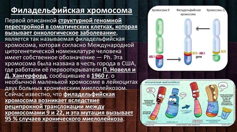 Прогноз и перспективы в лечении хромосомных мутаций