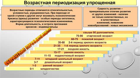 Продолжительность зрелости