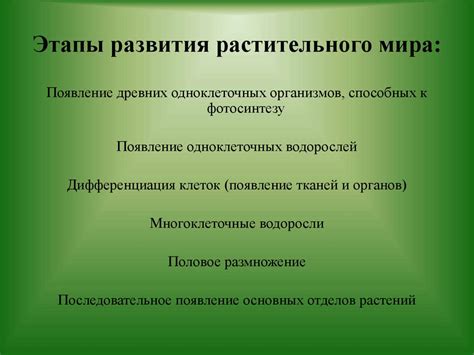 Происхождение праздника и его основные этапы развития