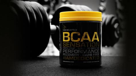 Просроченный BCAA порошок: как определить его безопасность