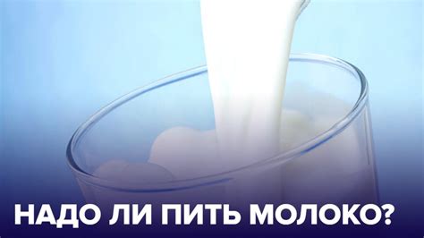 Протеин в горячем молоке: факты и мифы