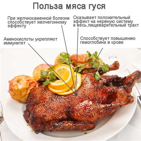 Противопоказания и возможные проблемы при употреблении гусиного мяса