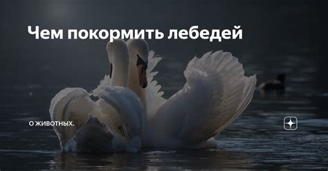 Противоречивость утверждений о допустимости охоты на лебедей