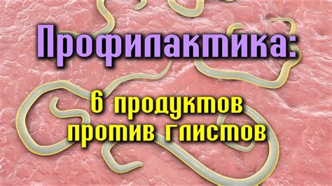 Профилактика заражения глистов в сырой говядине