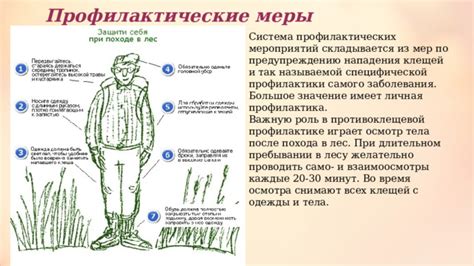 Профилактические меры после обрезки