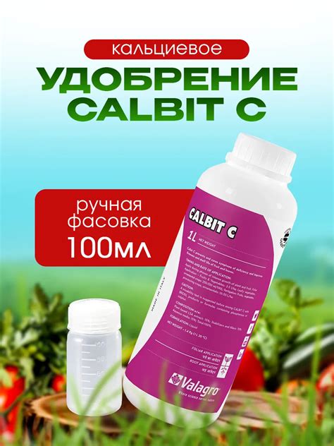 Процедура продления срока хранения