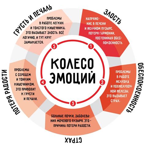 Радостные эмоции: их влияние на наше здоровье и самочувствие