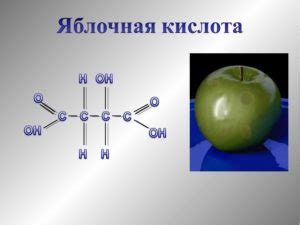 Раздел 2: Яблочная кислота и ее влияние на желудок