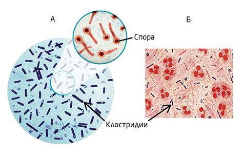 Разложение процесса слезообразования у малышей