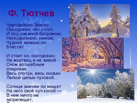 Рассказ Игоря Попова о первом снеге: необычный феномен и сильные ощущения