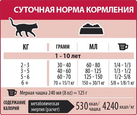 Рацион и частота кормления котов свежим мясом