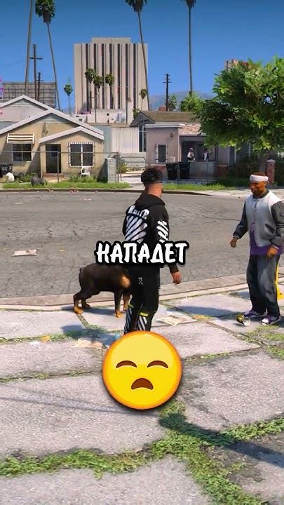 Реакция игрового сообщества на ожидание ЧОП в GTA 5