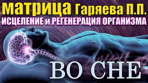 Регенерация и восстановление