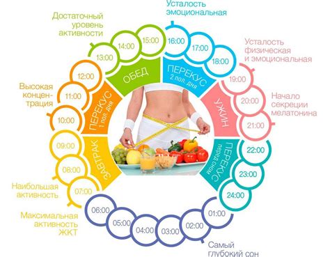 Режим питания и эффективность похудения