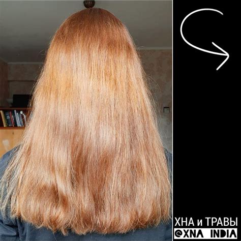 Результат окрашивания бесцветной хной: