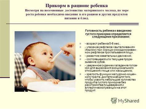 Рекомендации по введению свинины в рацион ребенка