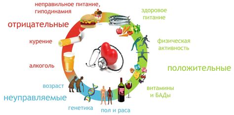 Риск развития сердечно-сосудистых заболеваний