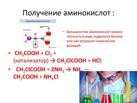 Роль аминокислот в организме