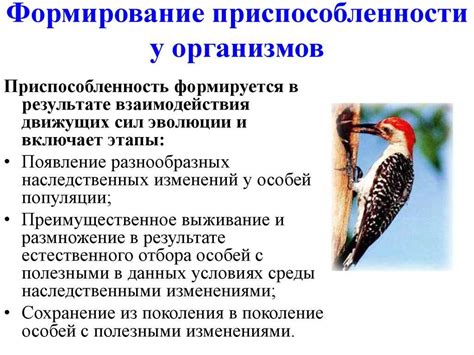 Роль окраски в выживании