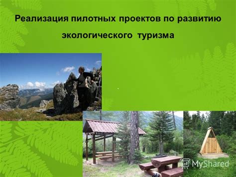 Роль трехпольного севооборота в устойчивом развитии