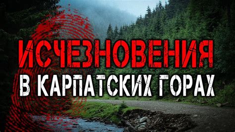 Русло Невы: место исчезновения туристов