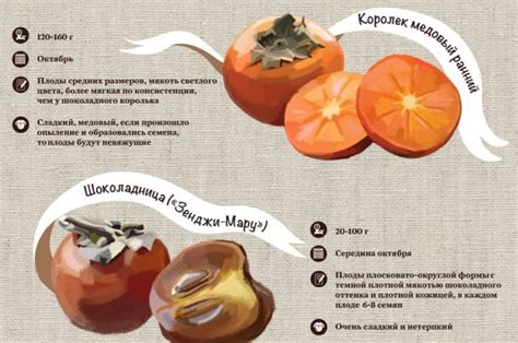 Свойства хурмы, благотворно влияющие на организм
