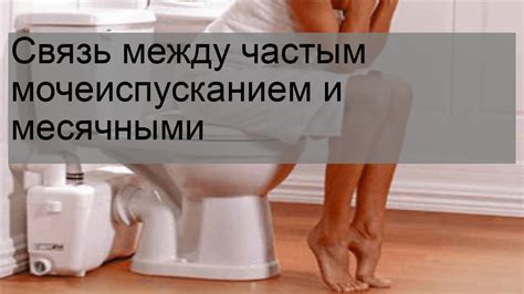 Связь между овуляцией и мочеиспусканием