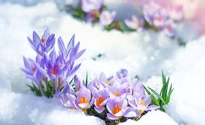 Сезонные обновления: ожидайте лучшие предложения в Заре